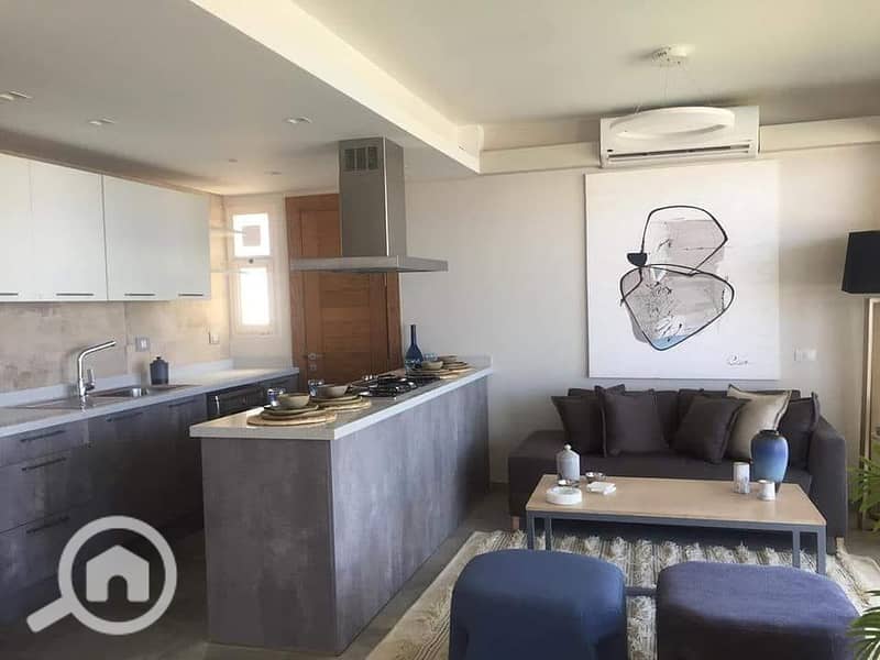 7 66088763_396049221033322_2264815295463948288_n. jpg