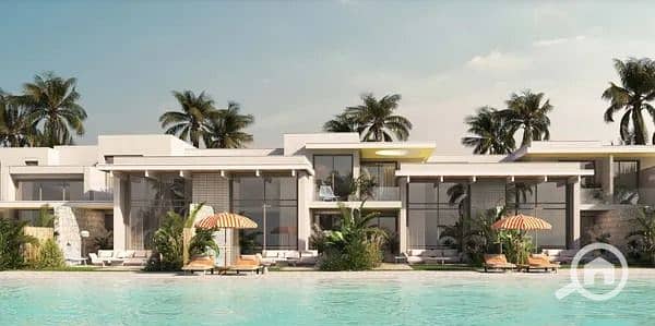 11 imgi_29_medium. jpeg