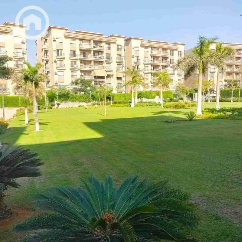 10 ecadc0f0-8da5-4261-8ed1-18977eb0cf4f-1_all_9165. jpg