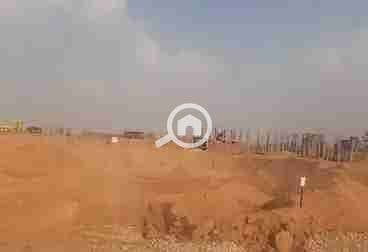 5 695ec38b727f8760887872. jpg