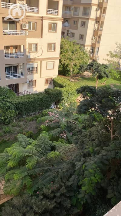 3 Bedroom Flat for Rent in Madinaty, Cairo - WhatsApp Image 2026-01-23 at 12.15. 50 AM (4). jpeg