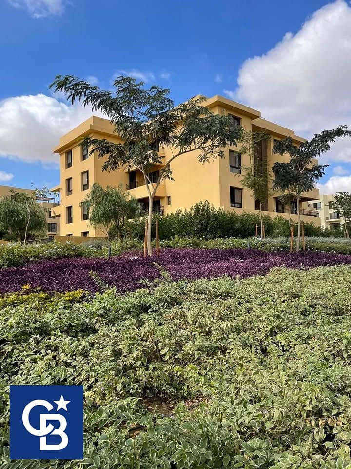 6 569424652_850228557666939_177018530686284703_n. jpg