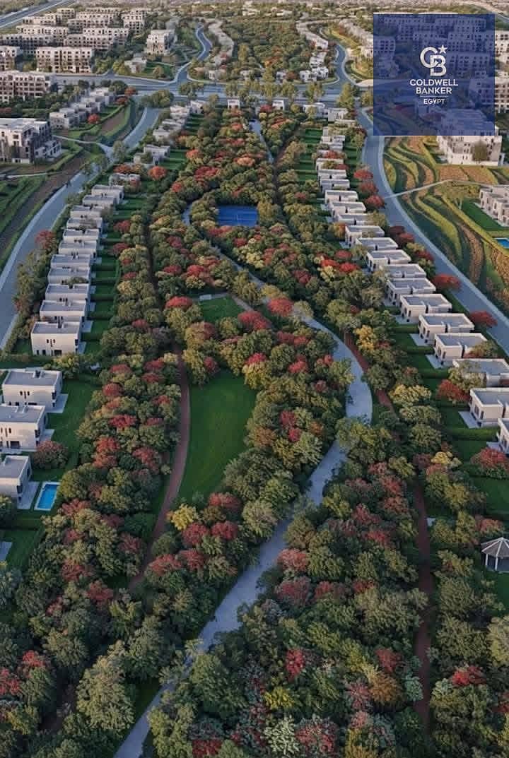 7 618034194_122182098332387342_865719338838113443_n. jpg