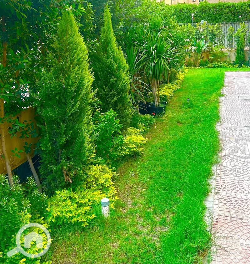 16 WhatsApp Image 2026-01-16 at 21.11. 13 (3). jpeg