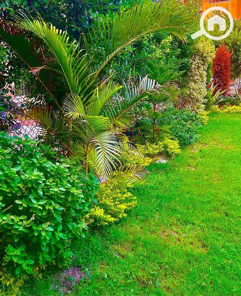 19 WhatsApp Image 2026-01-16 at 21.11. 14 (2). jpeg