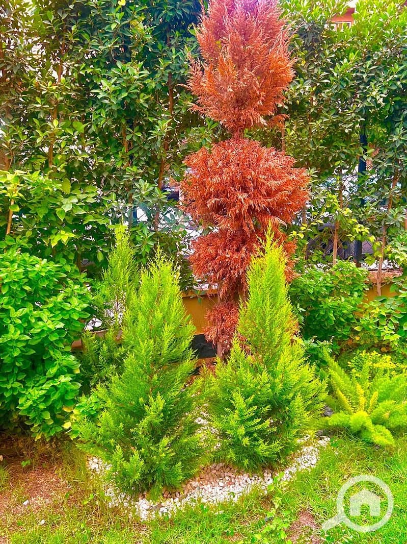 21 WhatsApp Image 2026-01-16 at 21.11. 15 (2). jpeg