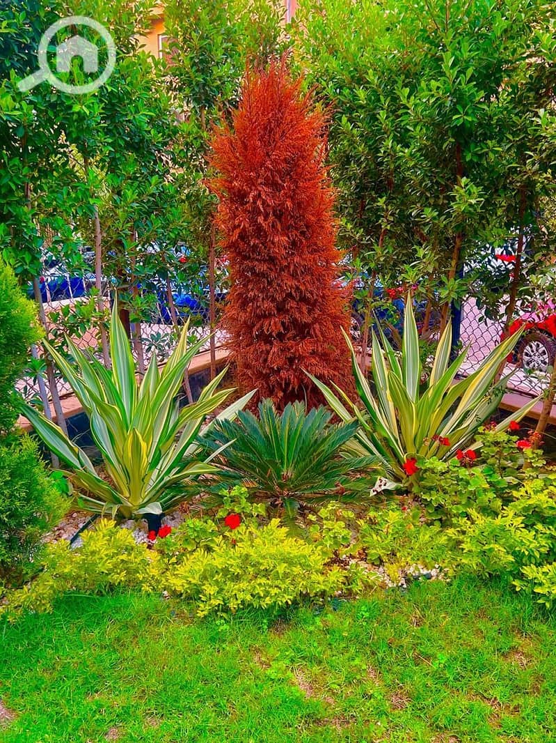 24 WhatsApp Image 2026-01-16 at 21.11. 15. jpeg