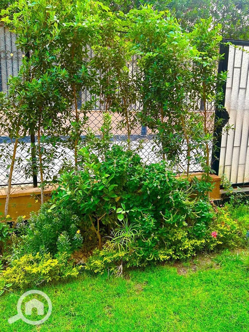 30 WhatsApp Image 2026-01-16 at 21.11. 17 (3). jpeg