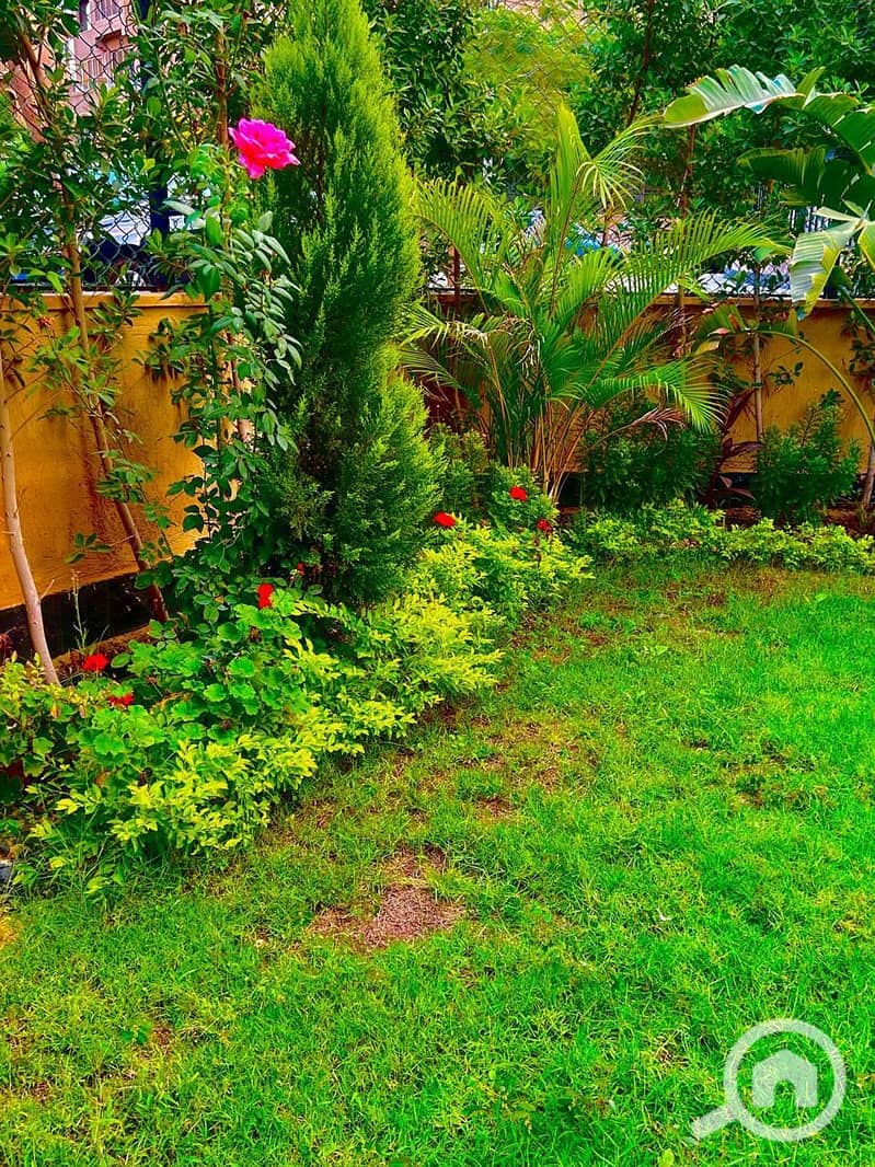 31 WhatsApp Image 2026-01-16 at 21.11. 17. jpeg