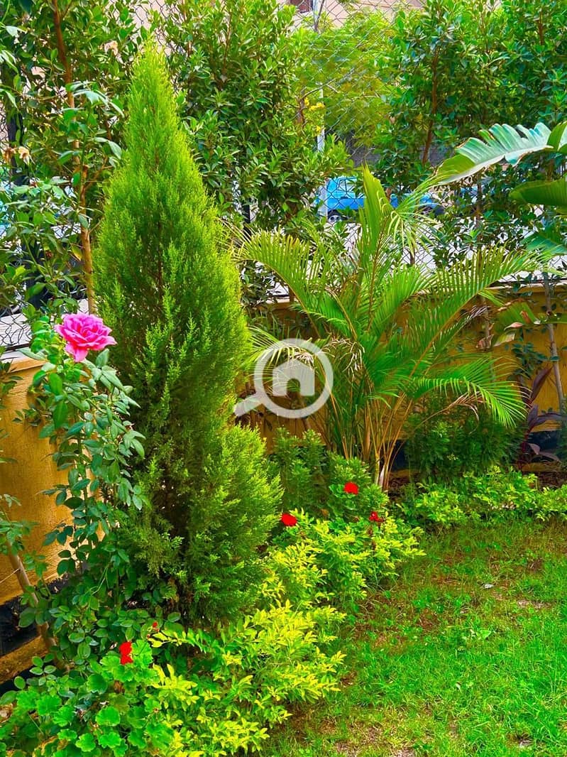 32 WhatsApp Image 2026-01-16 at 21.11. 18 (1). jpeg