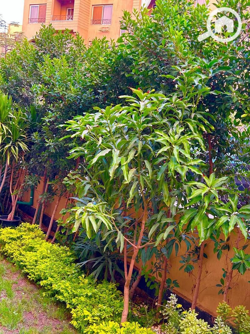 33 WhatsApp Image 2026-01-16 at 21.11. 18 (2). jpeg