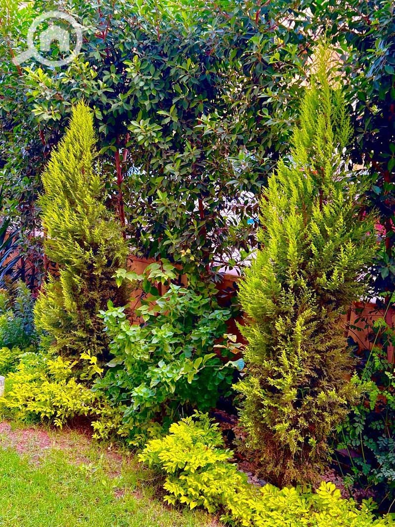 34 WhatsApp Image 2026-01-16 at 21.11. 18 (3). jpeg