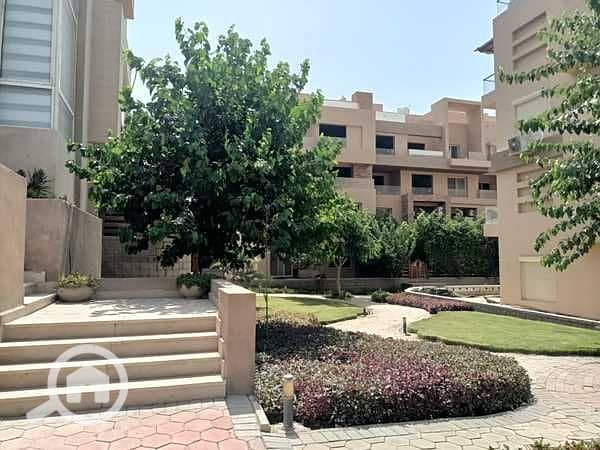 6 QE9o9MGhwgFS4tNIhOH3UxAtdTJjHXVqQ7H18Wip. jpeg