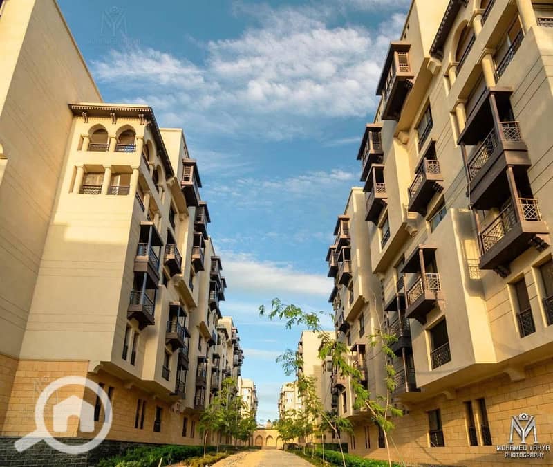 11 e04923f3-bfb9-4d69-976c-3a12a6ca460d. jpg