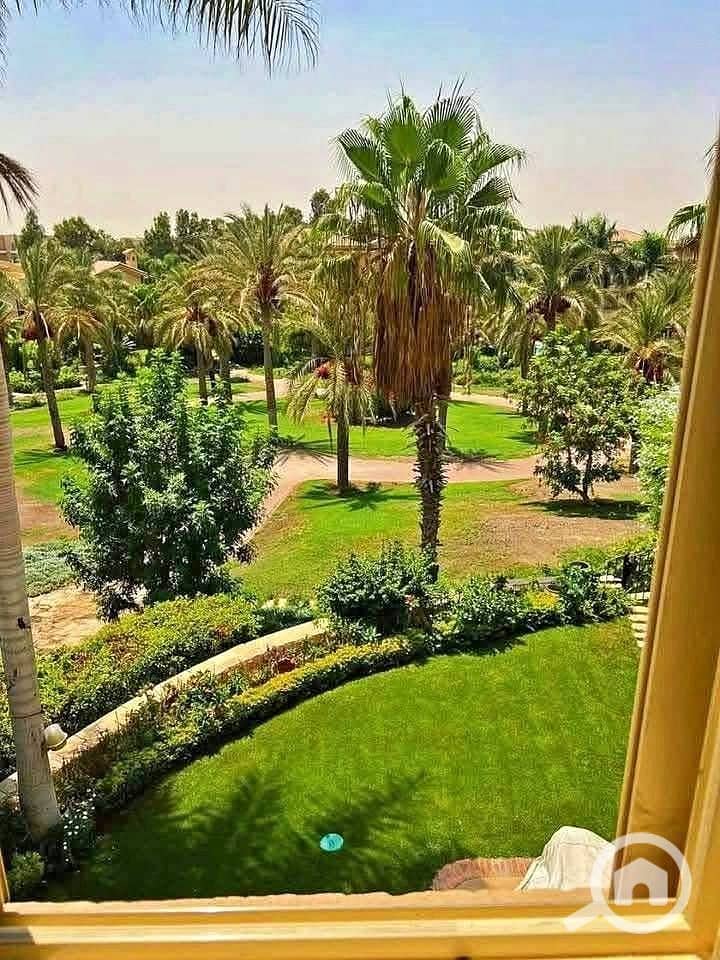 5 576915954_122182753208385302_6436145937840285386_n. jpg