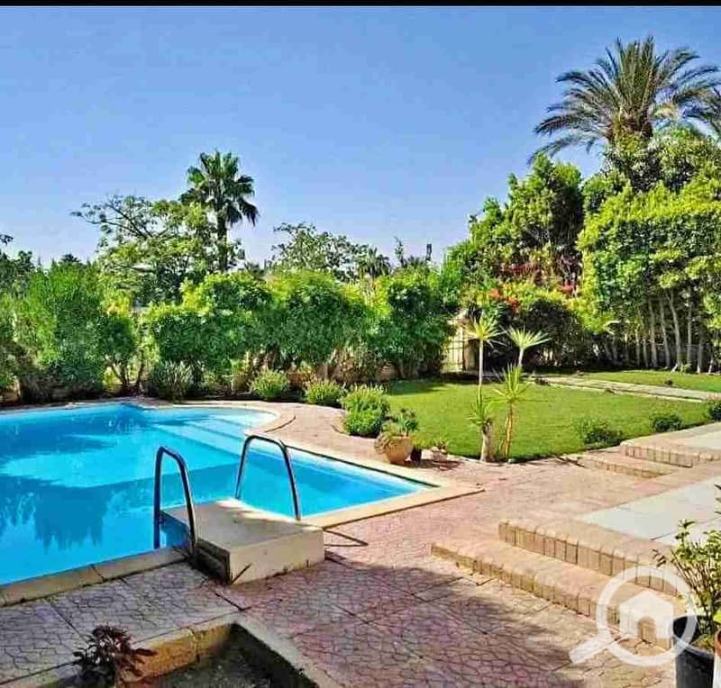 1000684172. jpg 1000684172. jpg