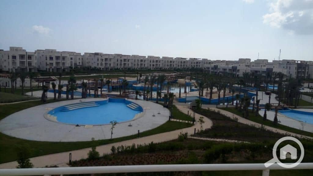 24 WhatsApp Image 2026-01-21 at 9.48. 12 PM (7). jpeg