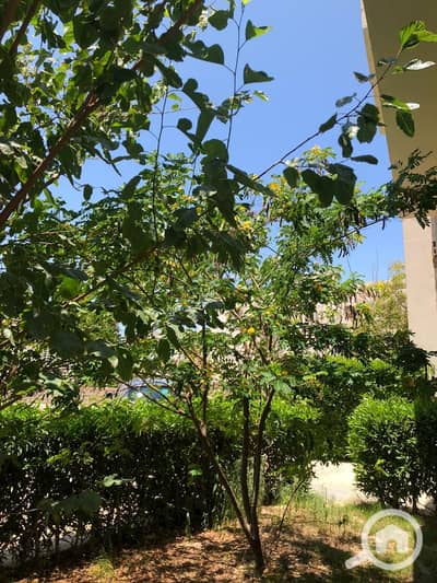 3 Bedroom Chalet for Sale in North Coast, Matruh - WhatsApp Image 2026-01-21 at 11.54. 48 PM (1). jpeg