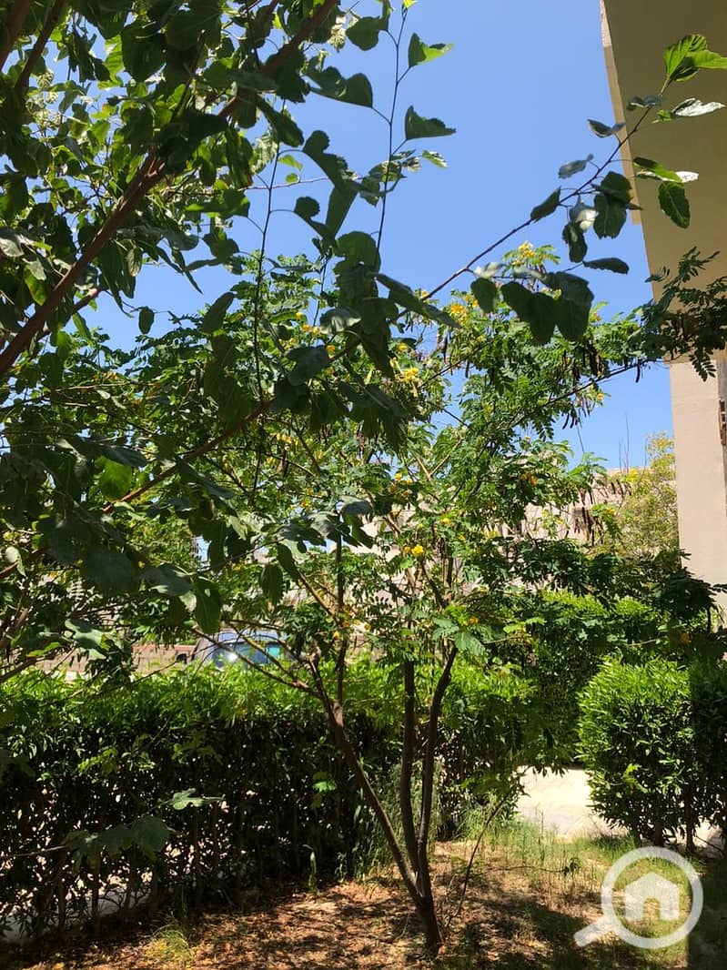 WhatsApp Image 2026-01-21 at 11.54. 48 PM (1). jpeg WhatsApp Image 2026-01-21 at 11.54. 48 PM (1). jpeg