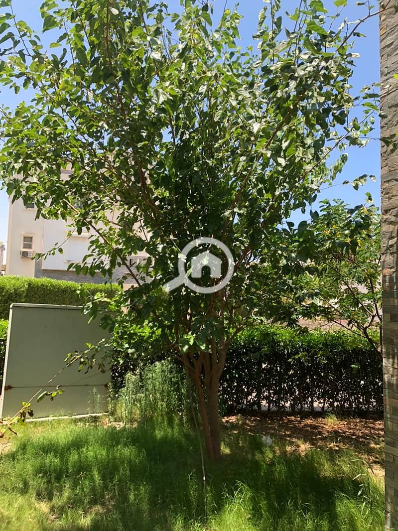 2 WhatsApp Image 2026-01-21 at 11.54. 48 PM. jpeg