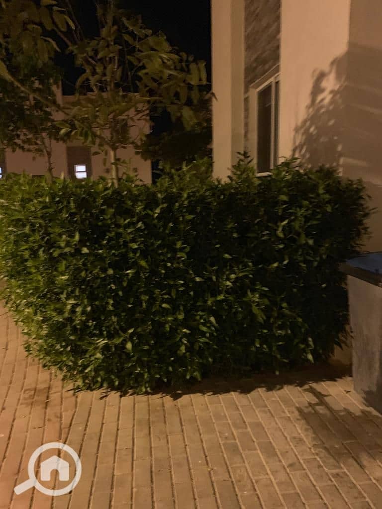 5 WhatsApp Image 2026-01-21 at 11.54. 49 PM (3). jpeg