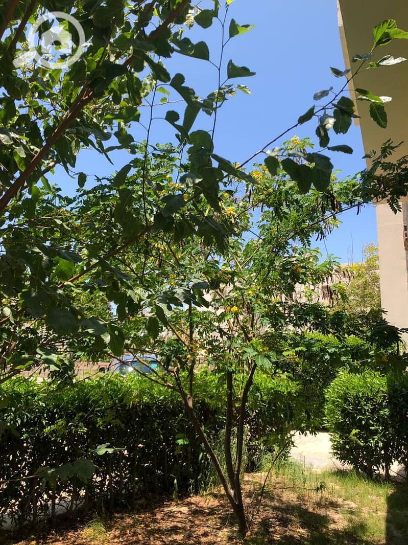 44 WhatsApp Image 2026-01-21 at 11.57. 16 PM (2). jpeg