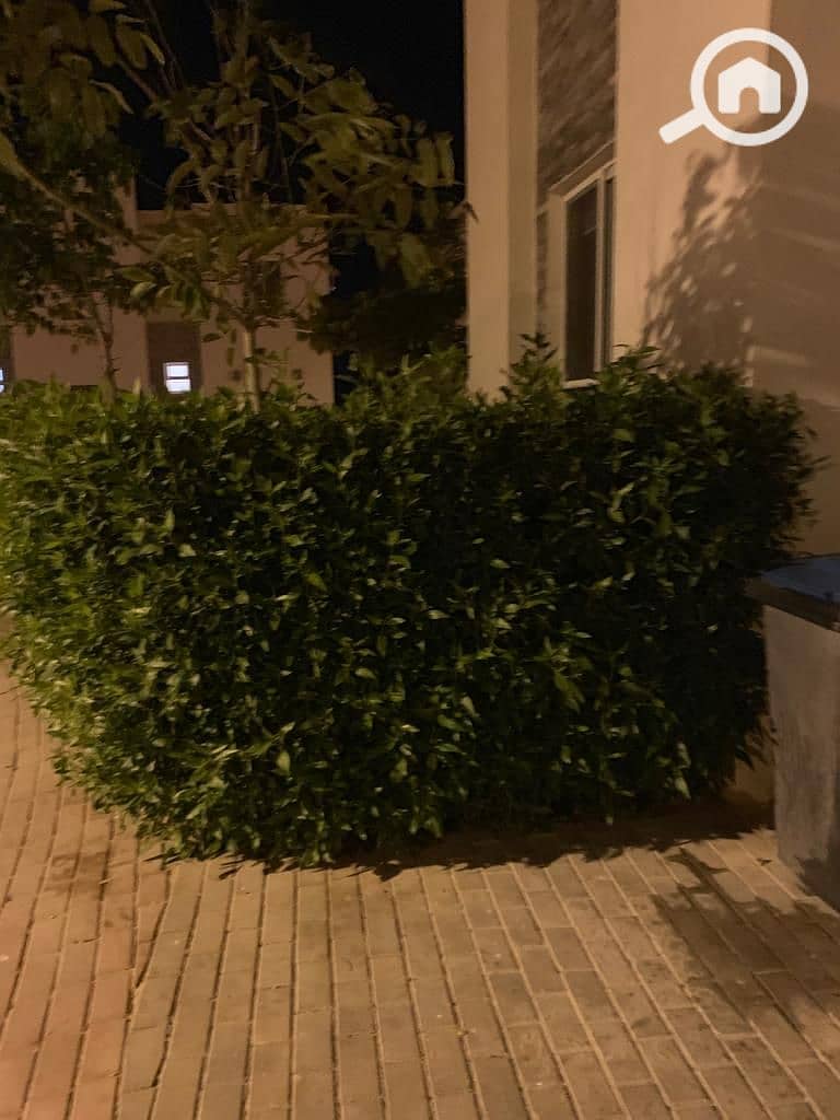 48 WhatsApp Image 2026-01-21 at 11.57. 17 PM (3). jpeg