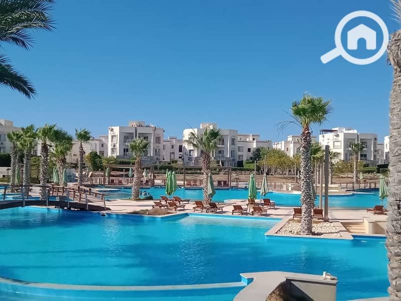 8 WhatsApp Image 2025-10-07 at 23.15. 42 (3). jpeg