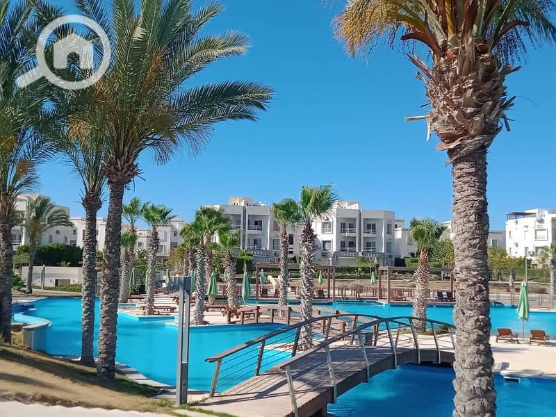 9 WhatsApp Image 2025-10-07 at 23.15. 42 (2). jpeg