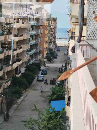 شقة 2 غرفة نوم للبيع في النخيل، الإسكندرية - 1000356468. jpg شقة 2 غرفة نوم للبيع في النخيل، الإسكندرية - 1000356468. jpg