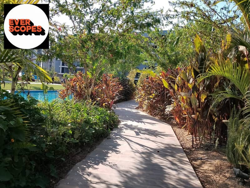 2 f54b3737-2e4a-4a7a-9646-ba6ddab67e1e. jpg