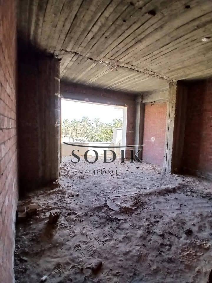 4 618986311_122189539574485876_2973654408252491900_n. jpg