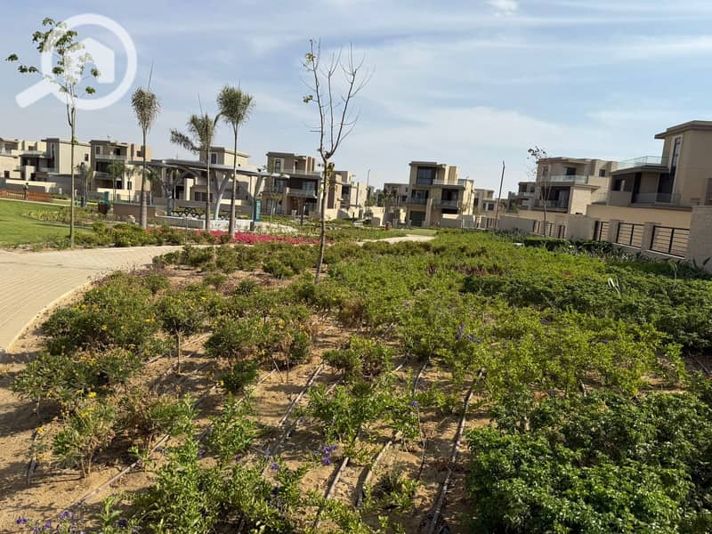 10 5229bb80-f528-490a-80fa-e6b1c6a5fab2. jpeg