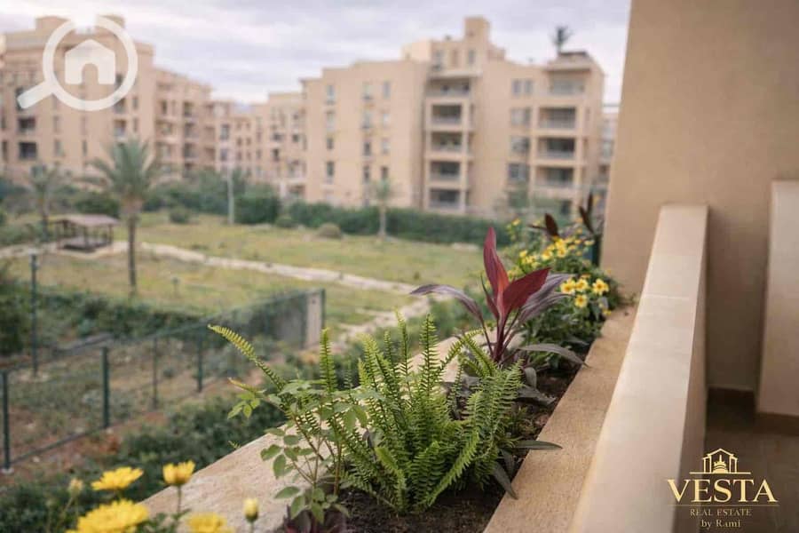 9 92e42975-cf6e-4a98-83e5-8298861c0289. jpg