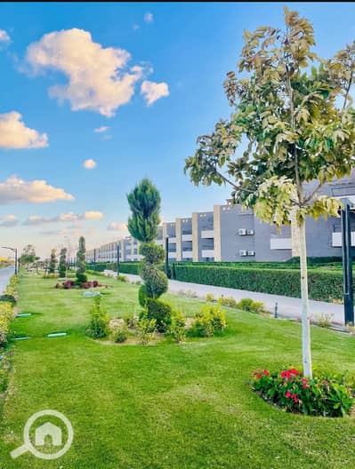 2 Bedroom Chalet for Sale in Ain Sukhna, Suez - WhatsApp Image 2026-01-13 at 14.42. 47. jpeg 2 Bedroom Chalet for Sale in Ain Sukhna, Suez - WhatsApp Image 2026-01-13 at 14.42. 47. jpeg