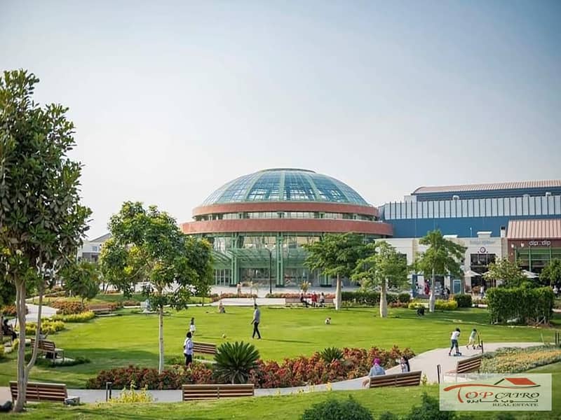 7 316424615_5734372593285764_4917198185680945830_n. jpg