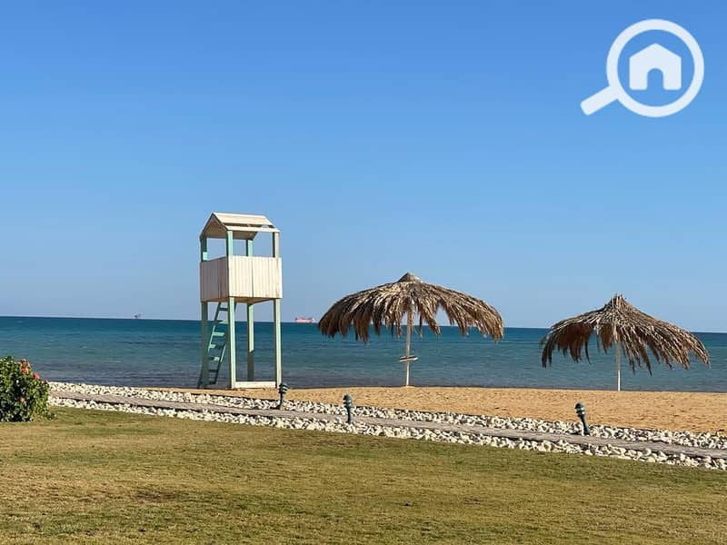 4 534424339_746179994872181_8341659588853173657_n. jpg