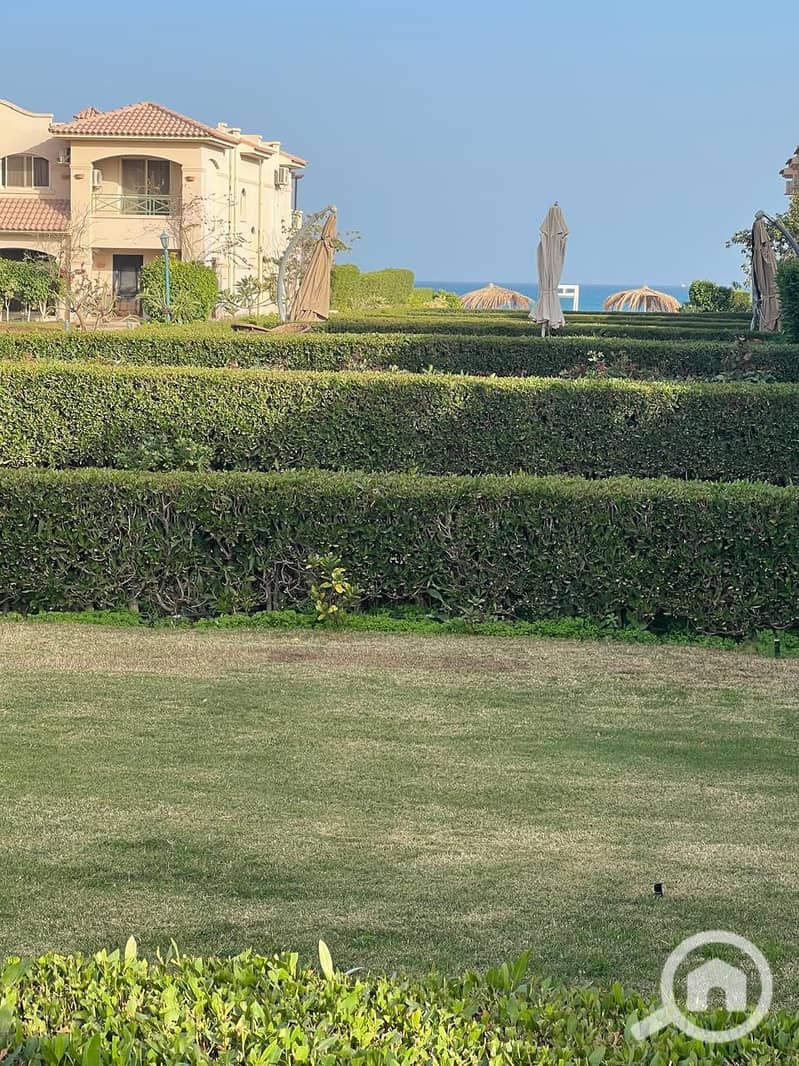 7 536145395_746180038205510_6360133783698776235_n. jpg