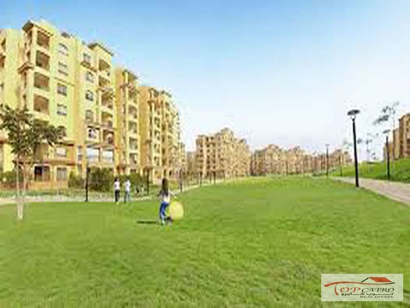 7 images (2)_1200x900. jpg