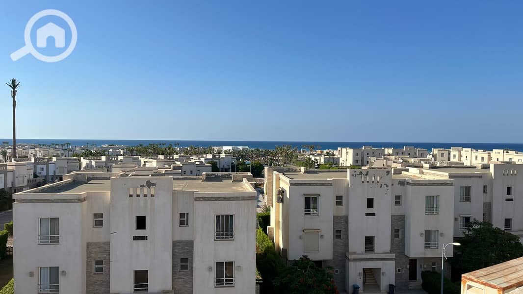 WhatsApp Image 2026-01-23 at 15.16. 52 (4). jpeg WhatsApp Image 2026-01-23 at 15.16. 52 (4). jpeg