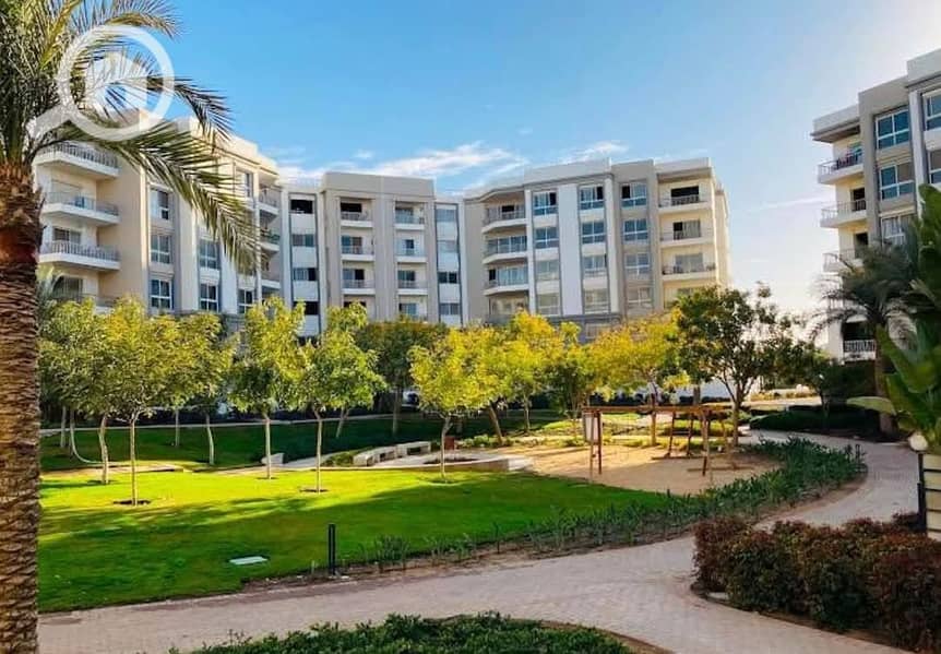 6 480507746_122187459086045366_6905298172499512525_n. jpg