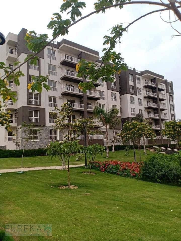 6 592176396_25038692092497746_5245237783470582271_n. jpg