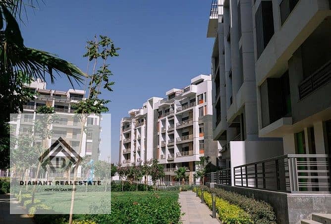 4 WhatsApp Image 2025-01-13 at 10.25. 24 AM (1). jpeg