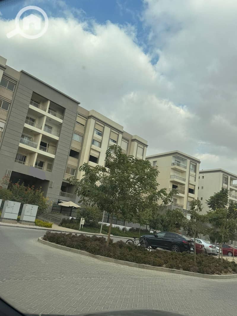 10 565127744_122239723292133709_880285097541926441_n. jpg