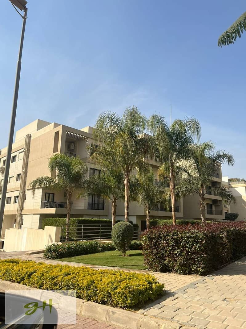 13 e289114d-d7ba-4a86-948d-0617603b420a. jpg