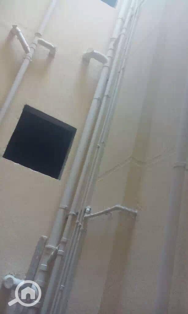 11 c0e994d5-a0a4-41a4-8fd1-195b6e5b6390. jpg