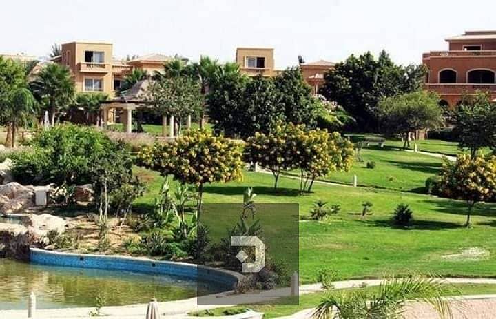 3 420175502_122122999544146752_1278158319093688664_n. jpg