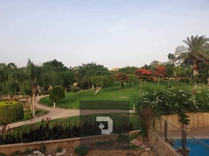 5 436815684_122139160496146752_7025581915035422084_n. jpg