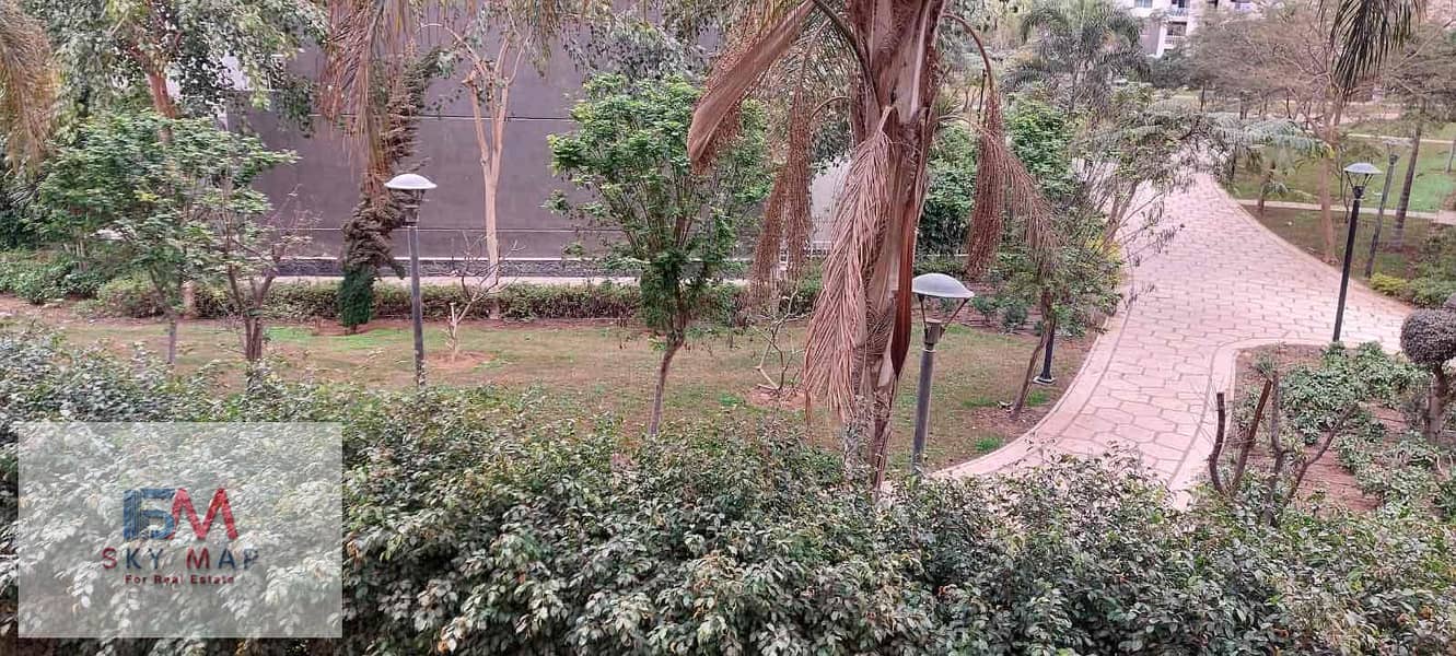 31 67e55868-3a1c-428b-b776-f232f86ae78c. jpg