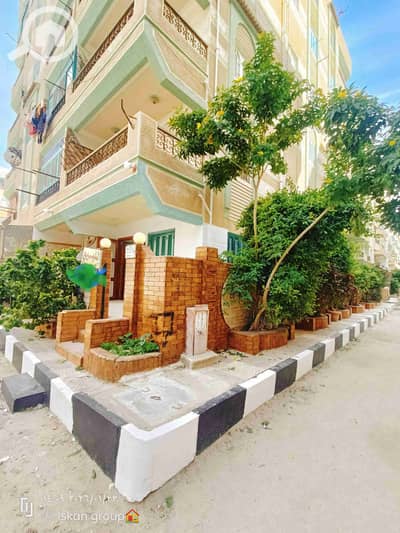 فلیٹ 2 غرفة نوم للبيع في النخيل، الإسكندرية - 1000476526. jpg